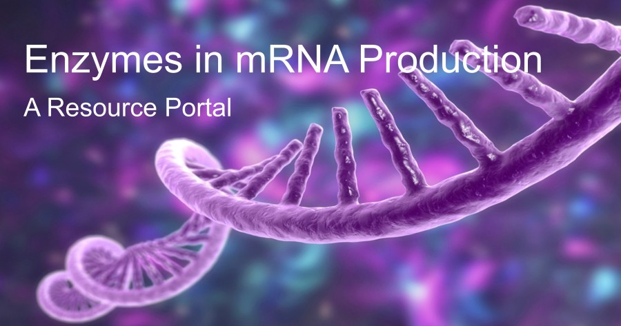 Enzyme in der mRNA-Produktion: Ein Ressourcenportal