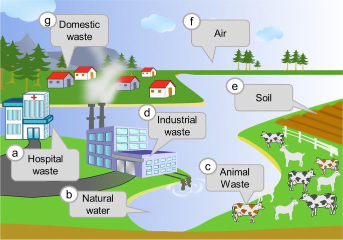 Bakteriophagen in der Natur: Krankenhausabfälle, natürliches Wasser, Tierabfälle, Industrieabfälle, Boden, Luft und Haushaltsabfälle.