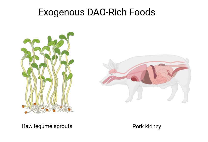 Rohe Hülsenfrüchte-Sprossen und Schweine-Nieren sind reich an Diaminoxidase.