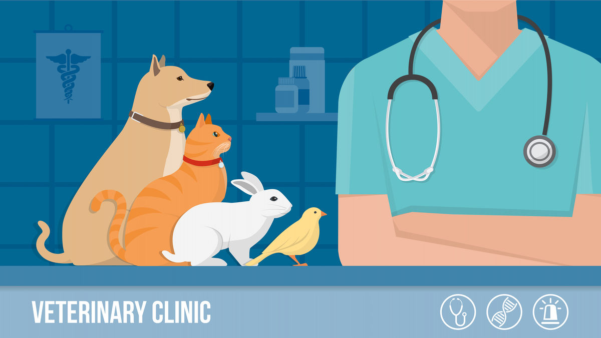 Eine veterinärmedizinische Perspektive zur Verwendung von Pancreatin zur Behandlung der exokrinen Pankreasinsuffizienz bei Hunden und Katzen.