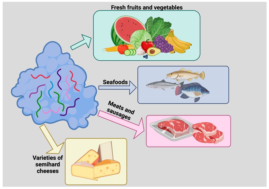 Lysozyme as a food preservative.