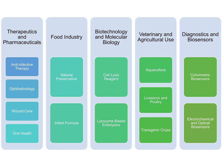 Anwendungen von Lysozym in Medizin, Lebensmittel, Biotechnologie, Landwirtschaft und Diagnostik