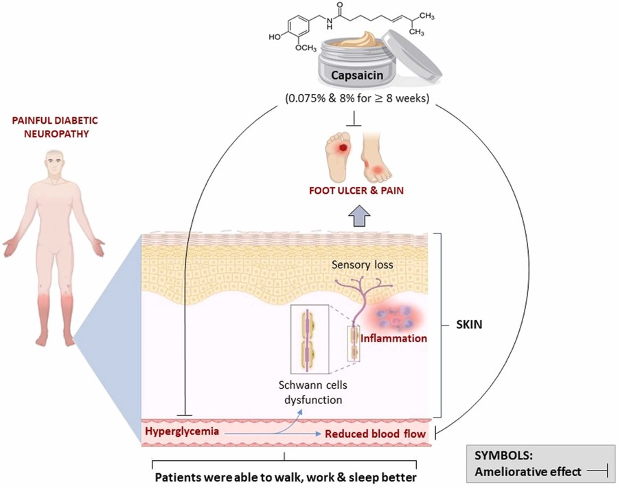 Topical capsaicin cream used for pain relief.