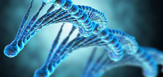 Tn5-Transposase