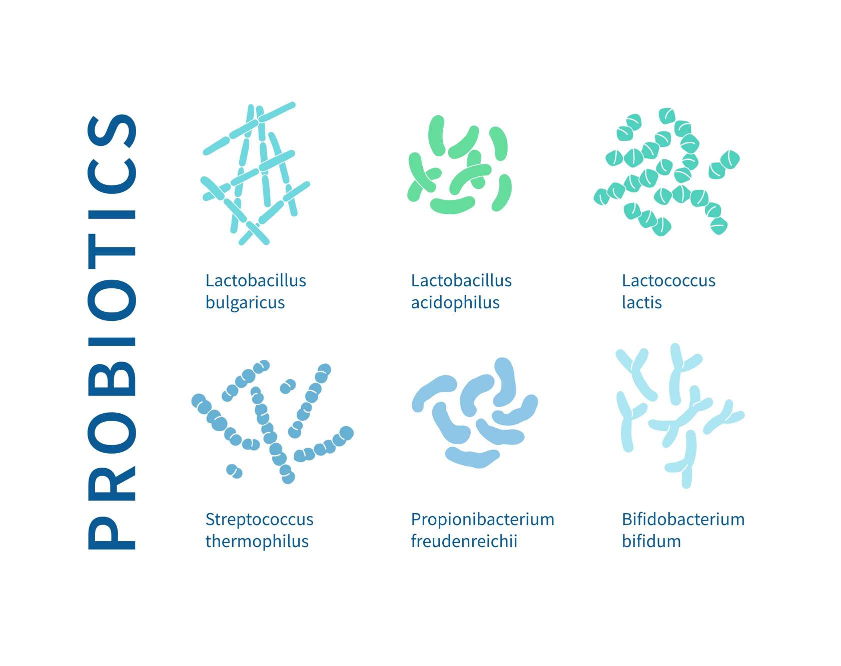 Beispiele für Probiotika.