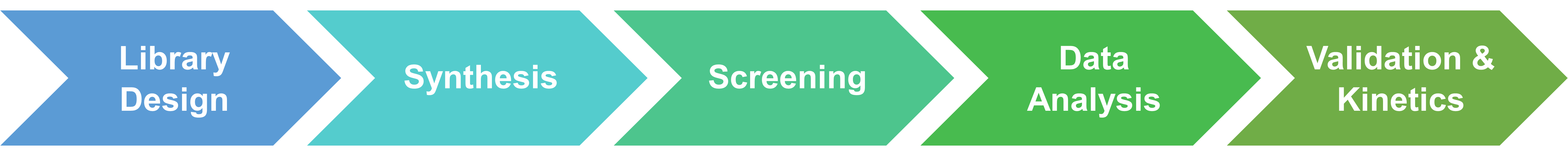 Service workflow for kinase substrate library construction