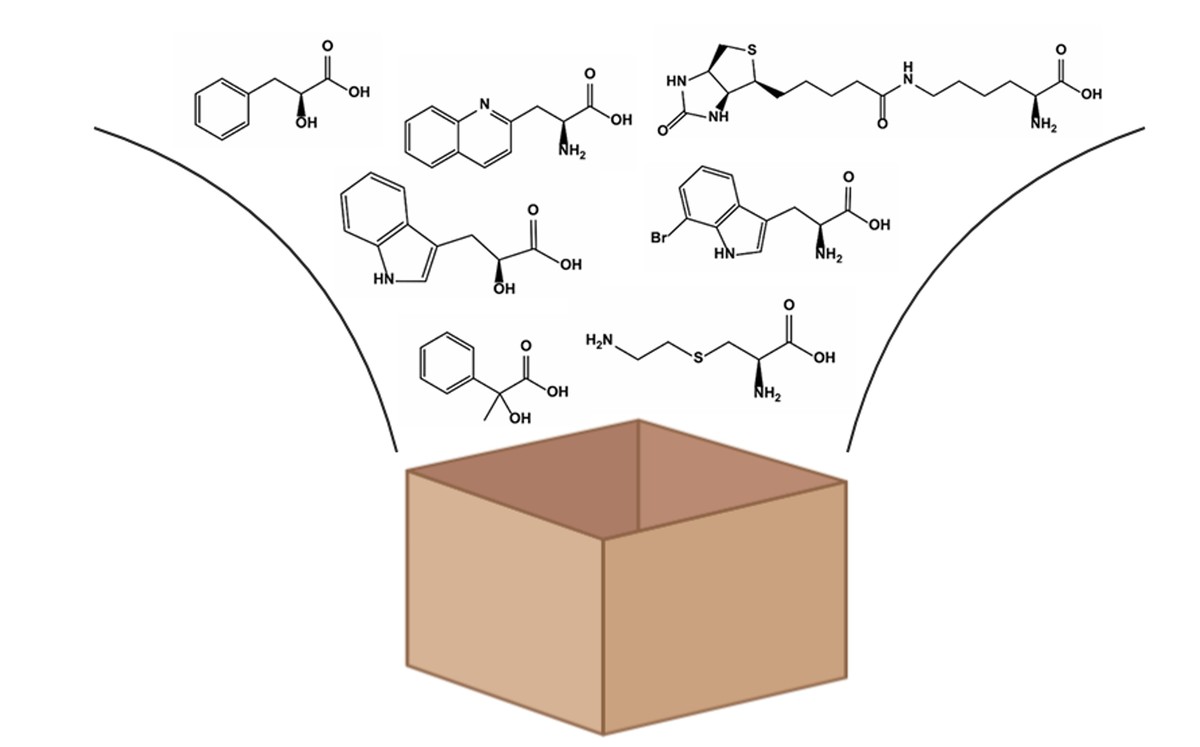 Konstruktion von Enzym-Substratbibliotheken zur Identifizierung des optimalen Substrats für enzymatische Reaktionen