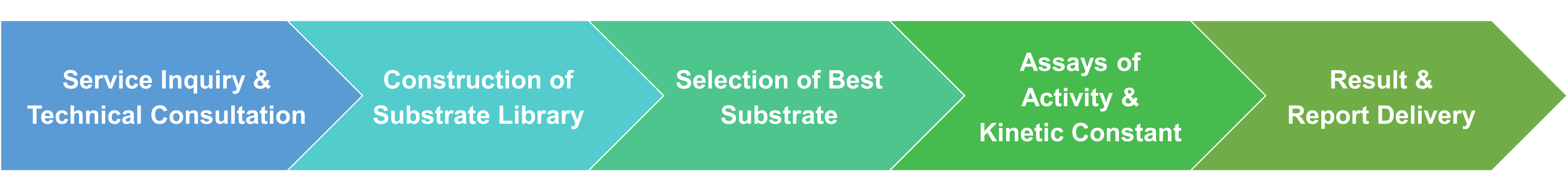 Workflow zur Identifizierung des optimalen Substrats in einer enzymatischen Reaktion