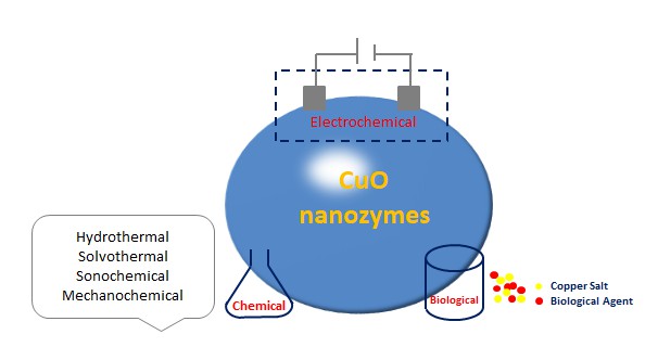 Synthese von Kupferoxid-Nanozymen.