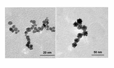Bau von platinhaltigen Nanozymen