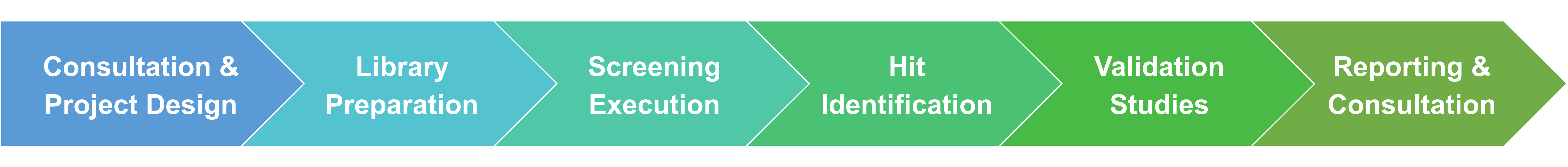 Workflow der Substrat-Screening- und Identifizierungsservices von Creative Enzymes