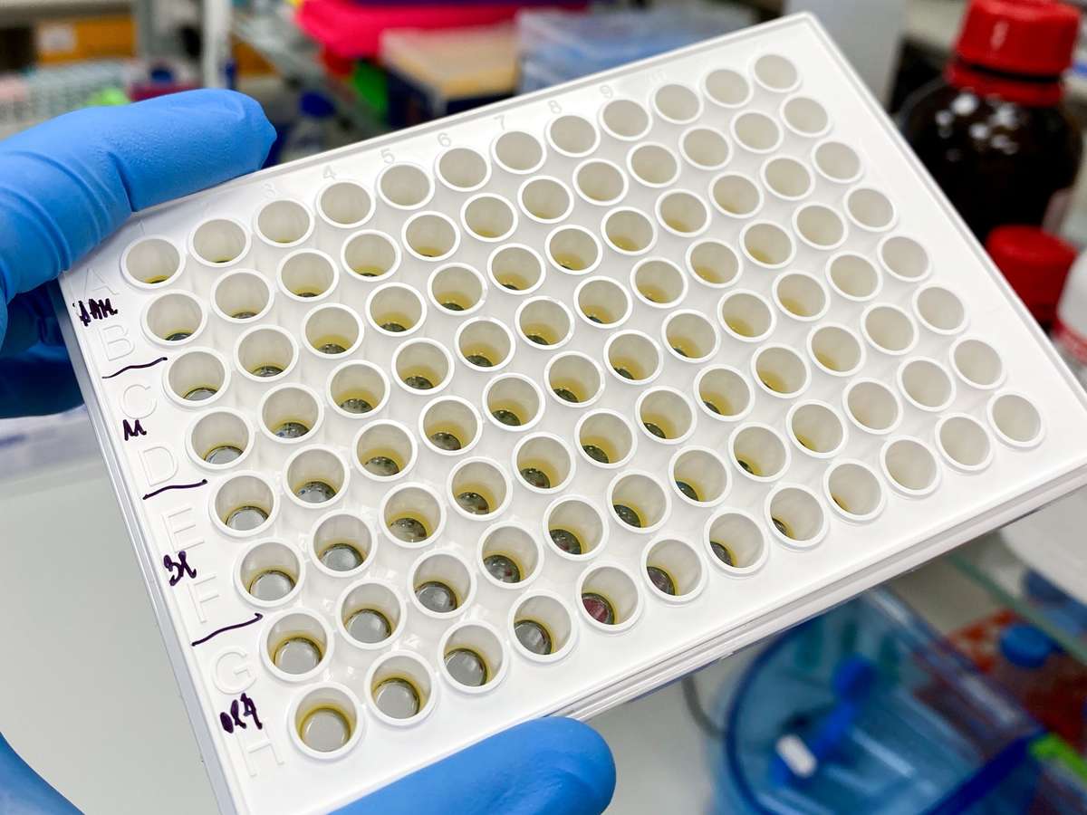 Experimental Activity Validation of Inhibitors