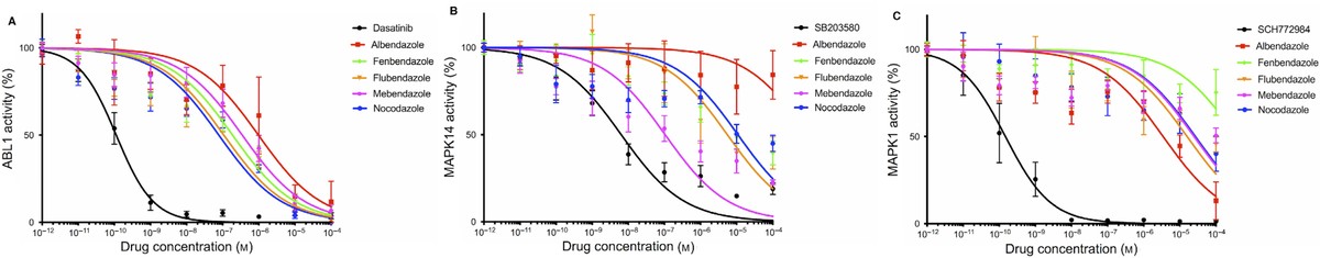 In silico target prediction identifies mebendazole as a potent MAPK14 inhibitor