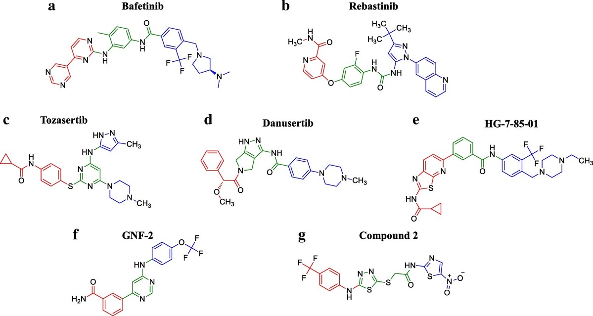 Structures of preclinical Bcr-Abl inhibitors: bafetinib, rebastinib, tozasertib, danusertib, HG-7-85-01, and GNF-2
