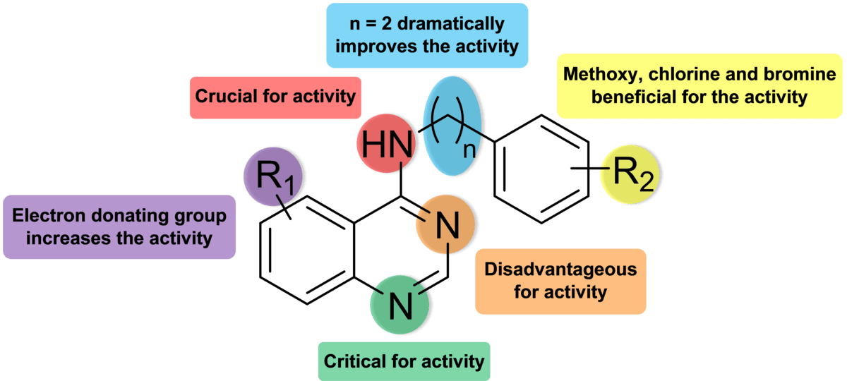 Structure–Activity Relationship (SAR) analysis of enzyme inhibitors