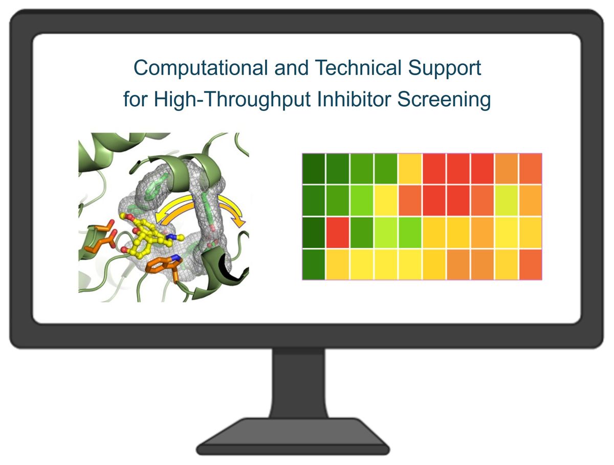Computational and technical support for high-throughput inhibitor screening (adapted from Lamba and Pesaresi, 2022)