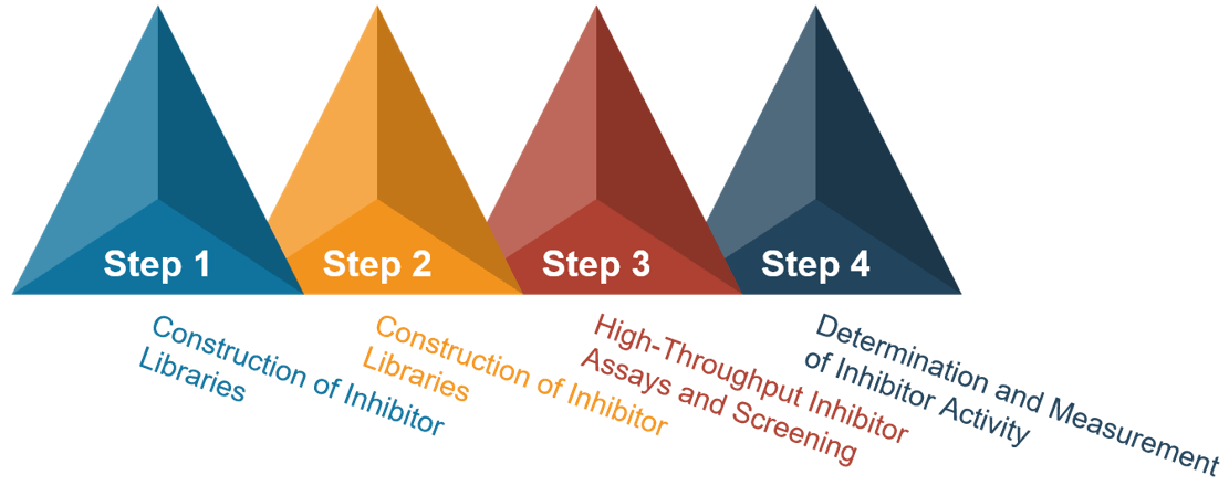 Comprehensive workflow for high-throughput screening of enzyme inhibitors