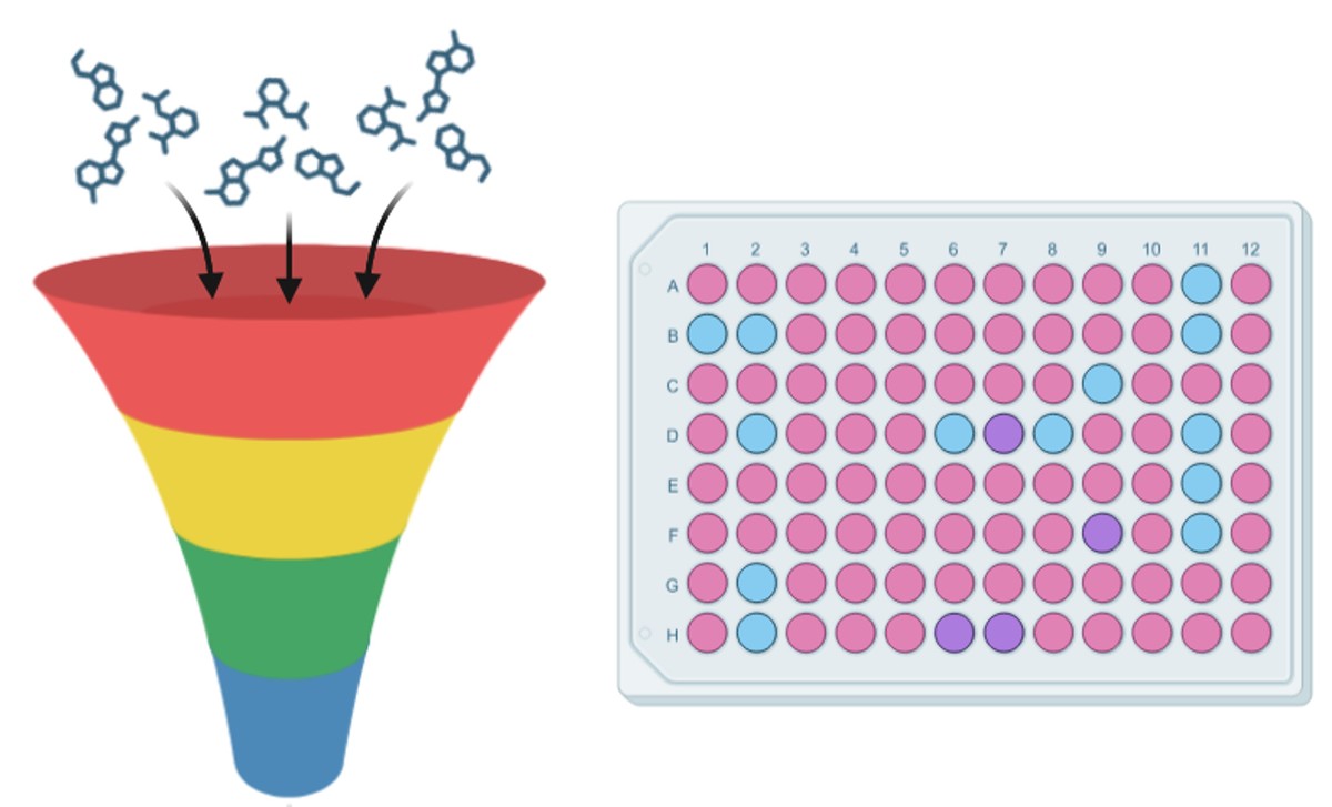 High-throughput assays for enzyme inhibitor screening