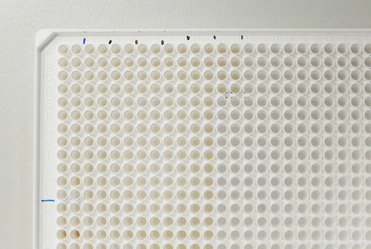 High-Throughput-Screening von Inhibitoren