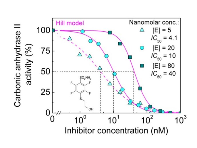 Experimental measurements of enzyme catalytic activity and inhibition kinetics (Smirnovienė et al., 2021)