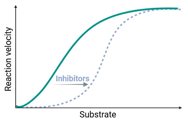 Assay measuring enzyme activity and inhibition effects