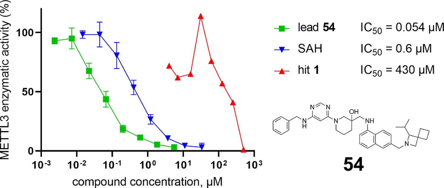 METTL3 inhibitor design via structure-based drug discovery approach
