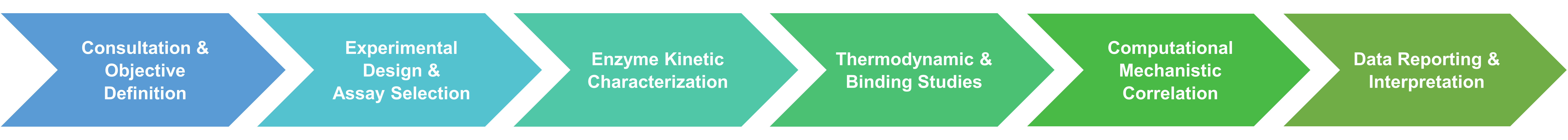 Workflow of inhibition mechanism study services