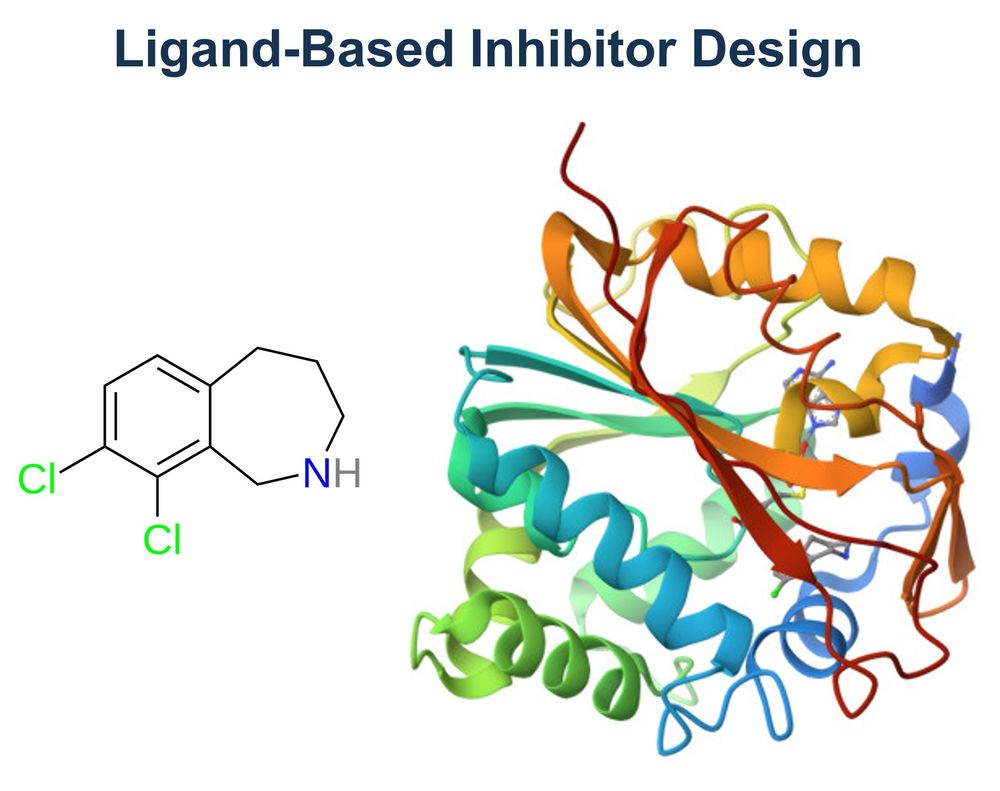 Ein Beispiel für ligandenbasiertes Inhibitor-Design