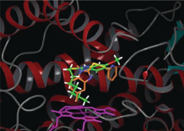 Docking-Visualisierung im aktiven Zentrum eines selektiven Inhibitors gebunden an das CYP2C19-Homologiemodell