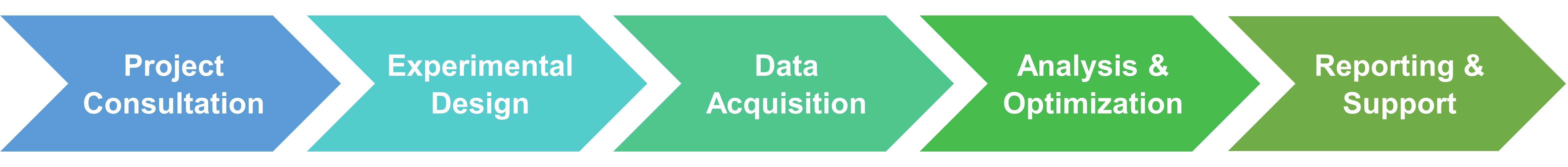 Ablauf der Inhibitor-Screening- und Design-Services von Creative Enzymes