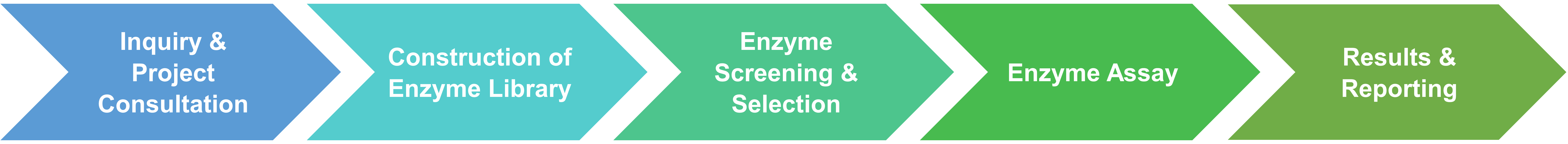 Service-Workflow des Enzym-Screenings gegenüber Substraten