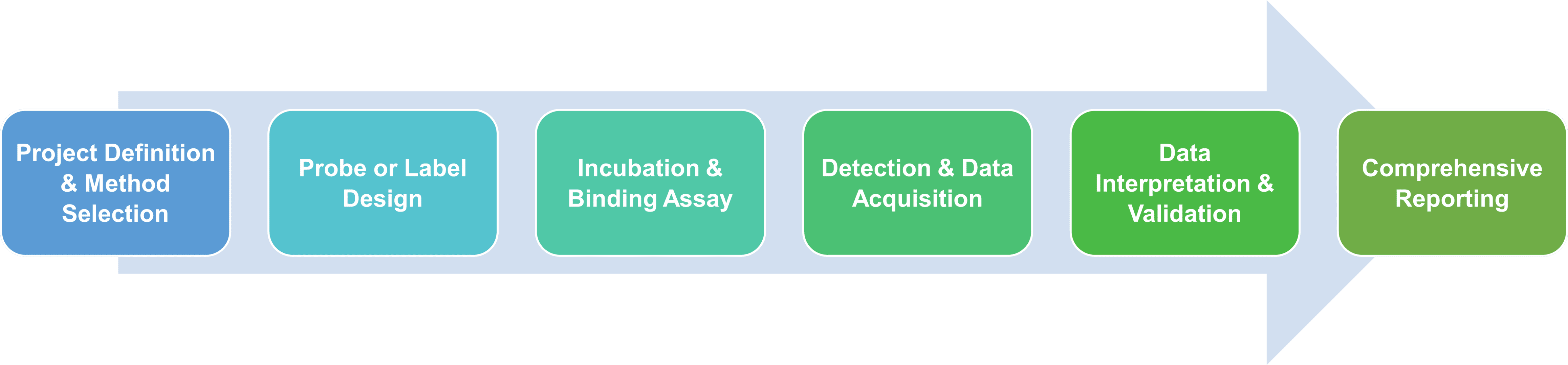 Service workflow of target enzyme identification service with direct biochemical methods