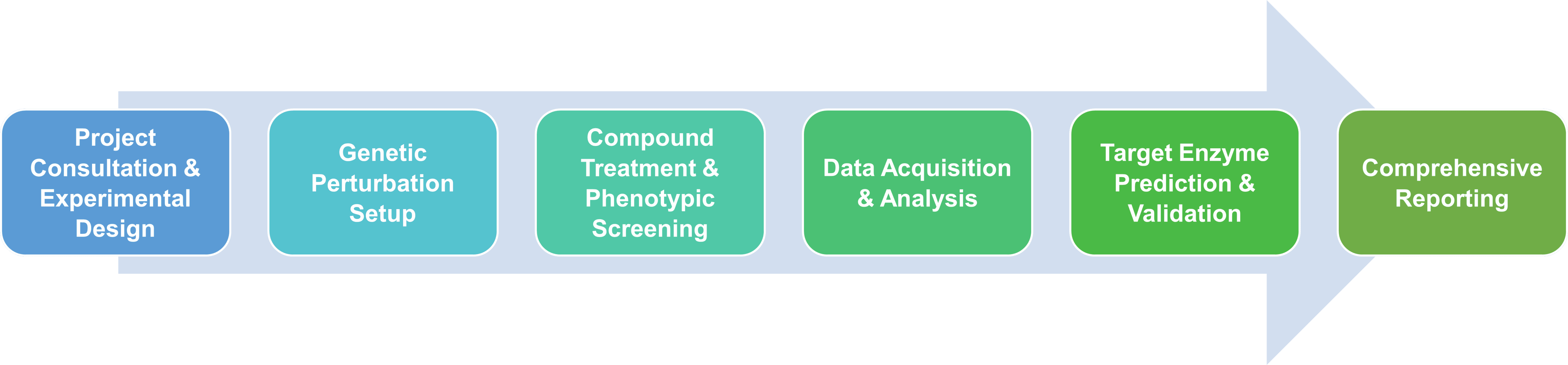 Service workflow of target enzyme identification service with genetic interaction methods