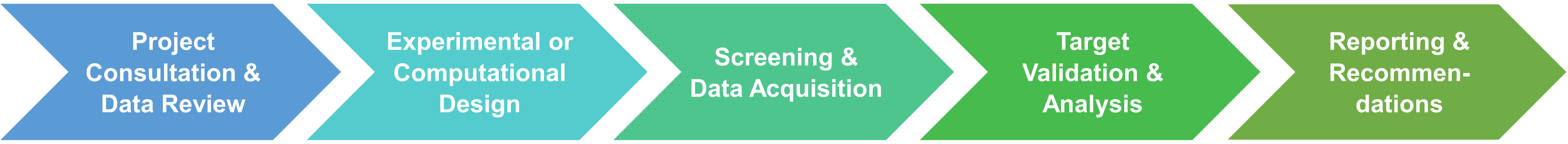 Diagram showing the target enzyme identification workflow
