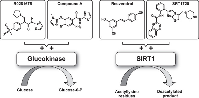 Enzyme activators for glucose-6-phosphate dehydrogenase and sirtuin 1