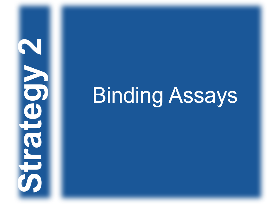 Strategy 2 for enzyme activators screening