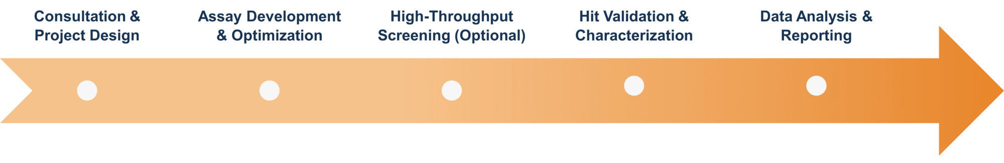 Workflow of Creative Enzymes' enzyme activator screening services
