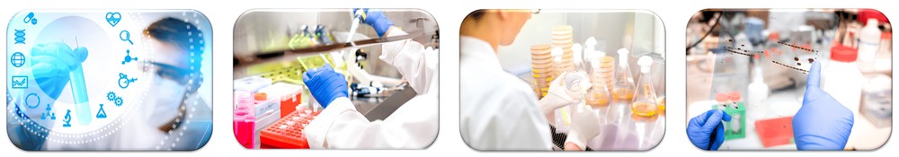Service-Workflow der Evaluierung von Enzymkofaktoren und Additiven