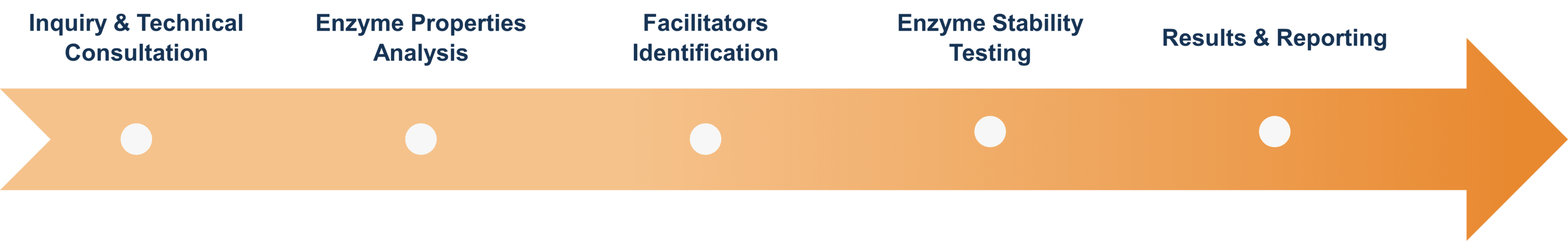 Workflow for enzyme folding facilitators identification and analysis services