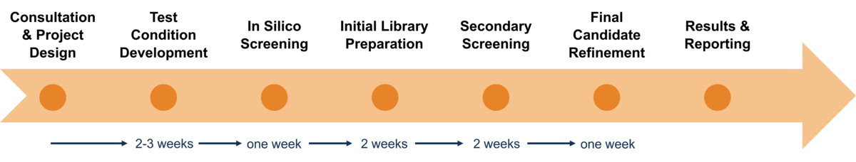 Workflow der Creative‑Enzymes‑Services für das Screening von Substraten, Inhibitoren und Liganden