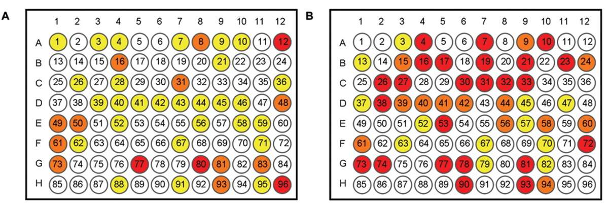 Screening einer Fragmentbibliothek nach Inhibitoren der Aspartat‑Semialdehyd‑Dehydrogenase (ASADH)