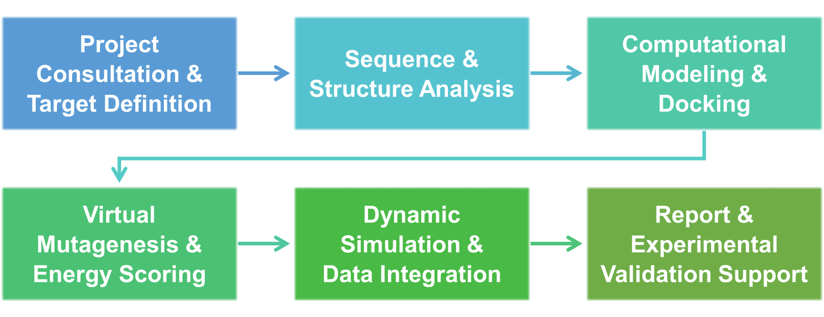 Workflow diagram for computational modeling and bioinformatics in rational enzyme design