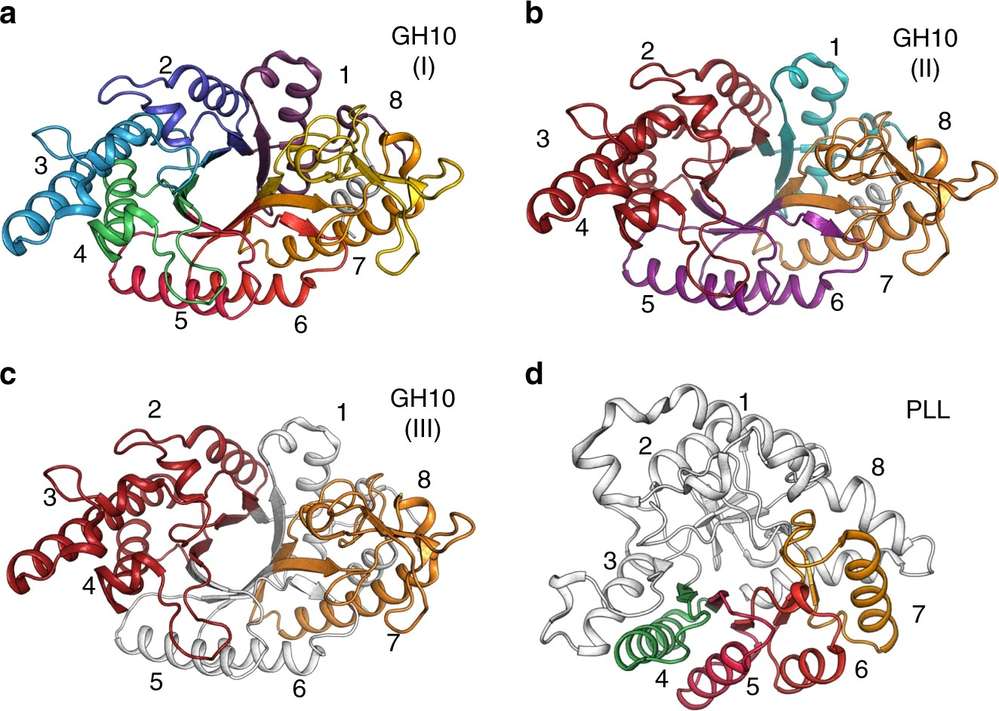 Machine learning-guided co-optimization approach for designing diverse combinatorial enzyme libraries