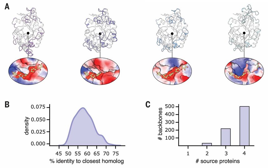 CADENZ machine-learning and atomistic design platform generating diverse, active engineered enzymes