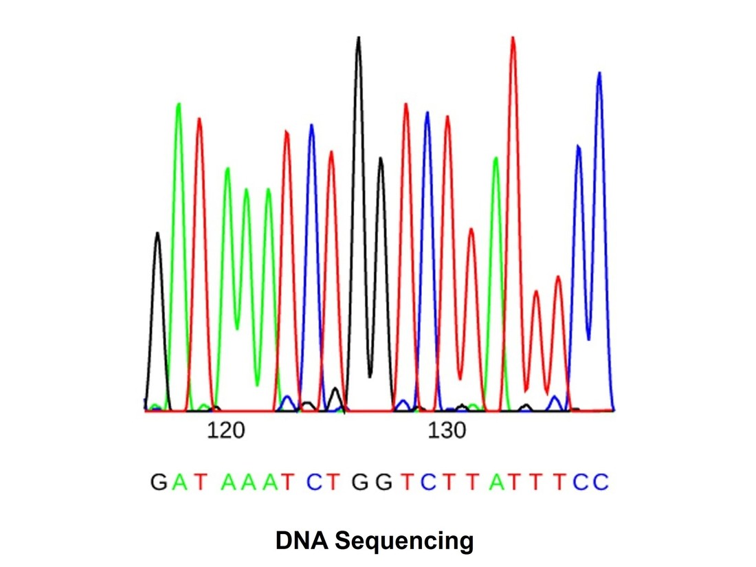 Template DNA sequencing service for site-directed mutagenesis