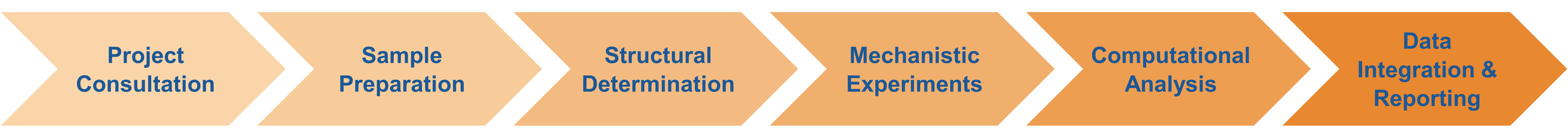 Workflow for structural analysis and mechanistic study service of site-directed mutagenesis variants