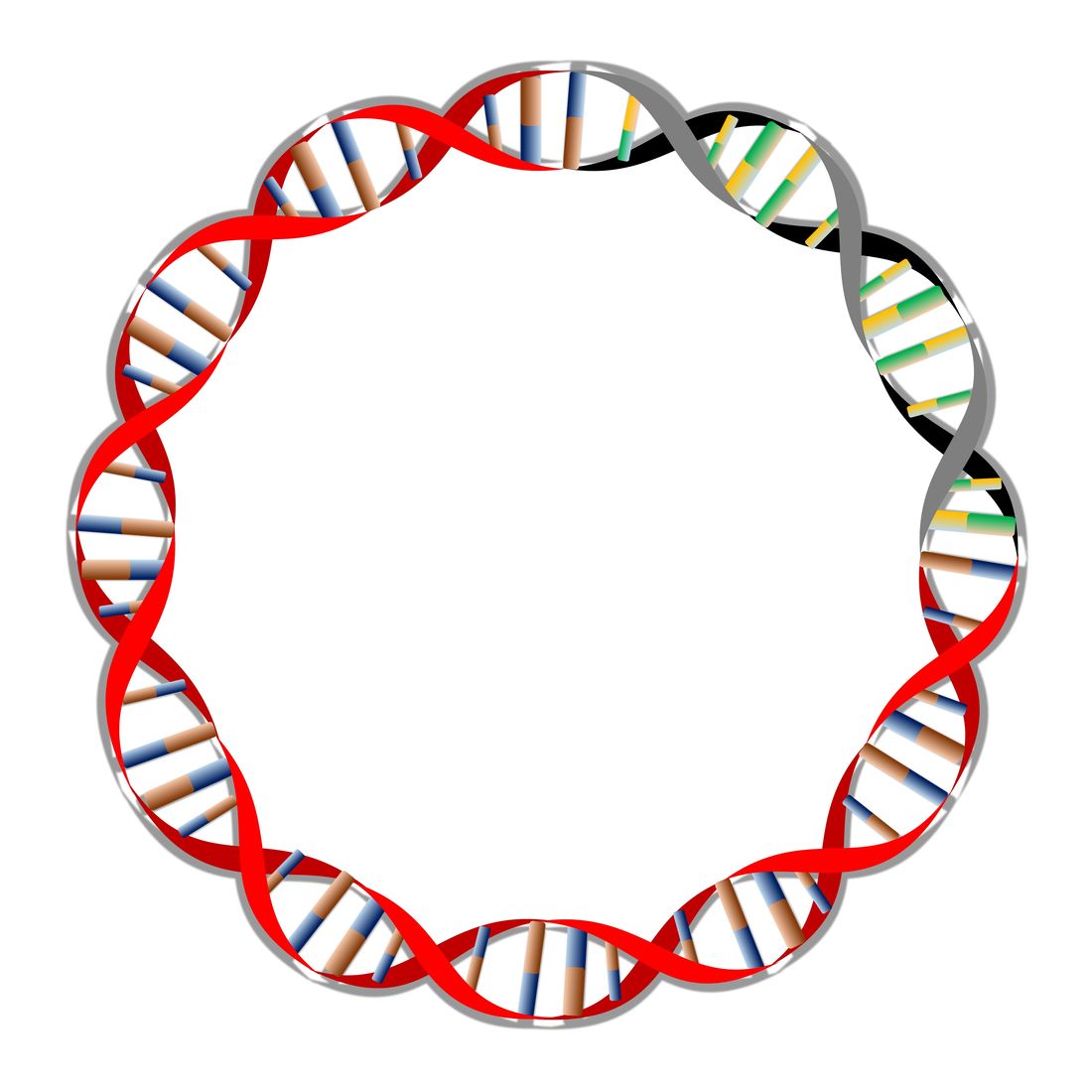 Gene cloning service for random mutagenesis and DNA shuffling at Creative Enzymes