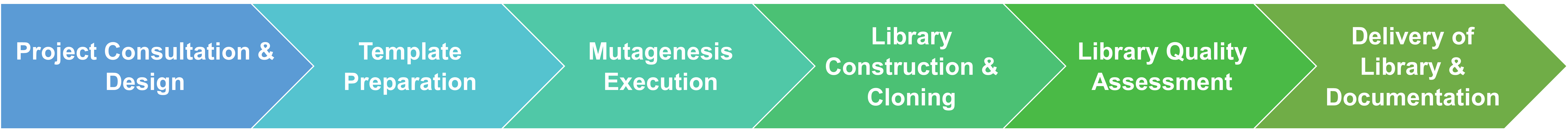 Service workflow for mutagenesis library construction for enzyme engineering