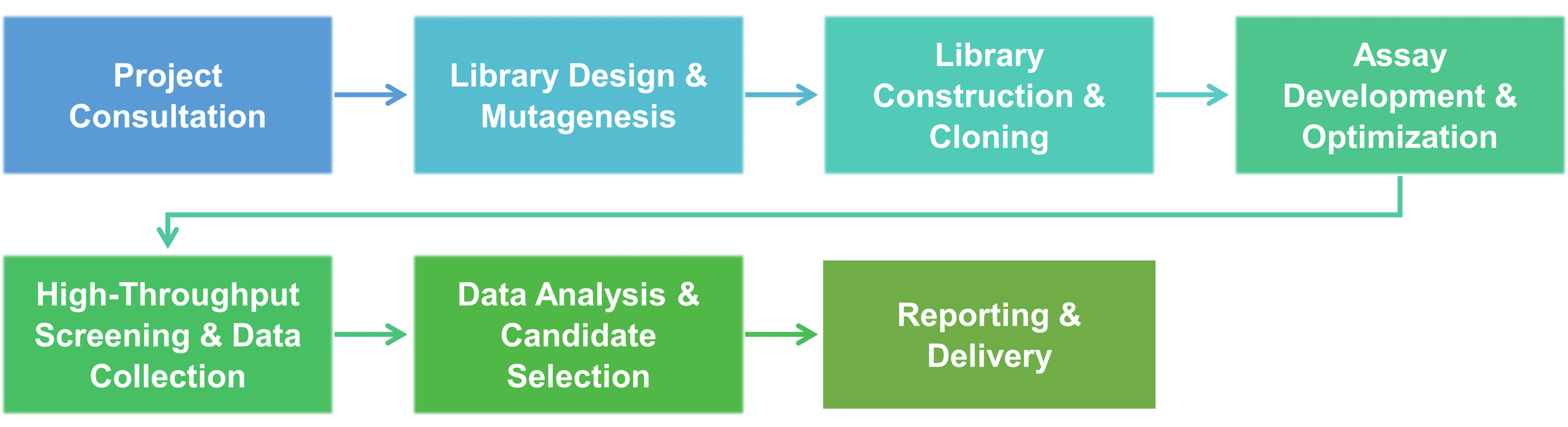 Workflow of core enzyme engineering by random mutagenesis and DNA shuffling