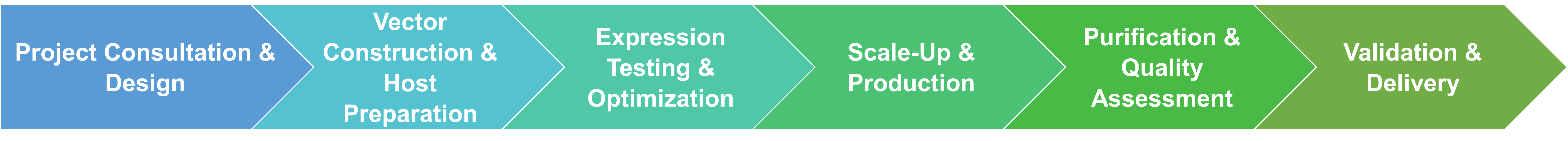 Service workflow of expression and purification of random mutagenesis variants